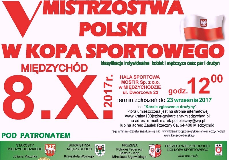 miedz V mistrz