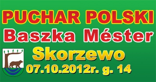 skorzew pl